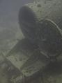 Thistlegorm (4)
